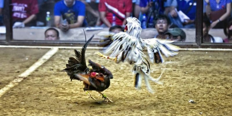 3333win xổ số miền bắc hôm quả