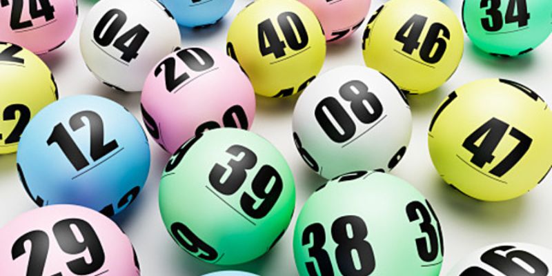 3333win gà chọi cam ranh