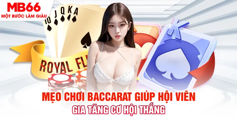 3333win đá gà 88