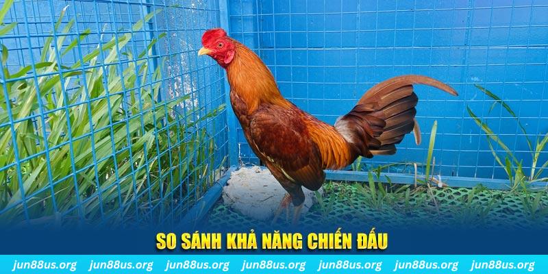 3333win xổ số tiền giang