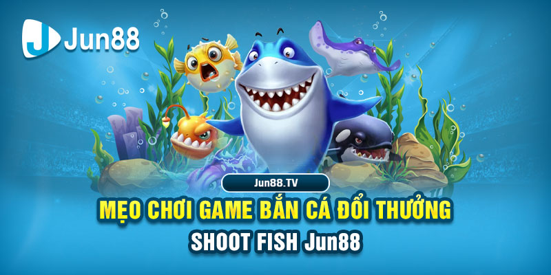 3333win tai game danh bai bigkool ve may tinh