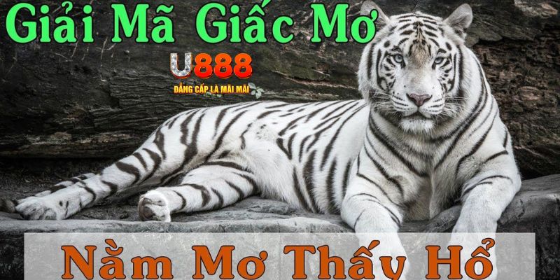 3333win xổ số kiến thiết miền bắc