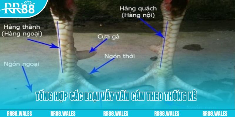 3333win nổ hũ chơi như thế nào