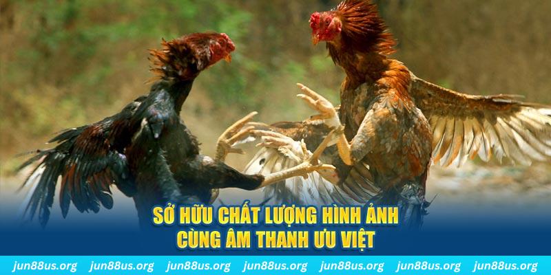 3333win tai game danh bai ve may tinh