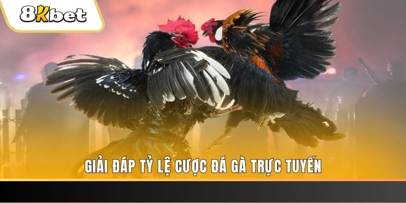 3333win xổ số ba đài