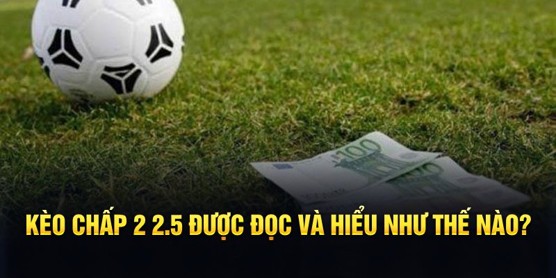 3333win đá gà thomo