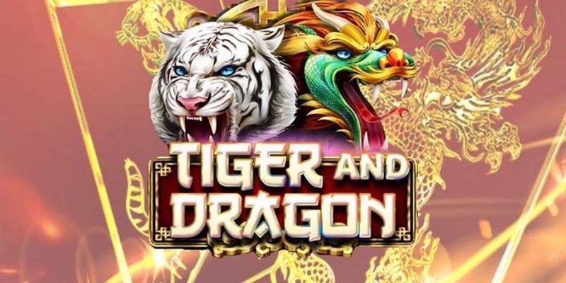 3333win trực tiếp đá gà thomo